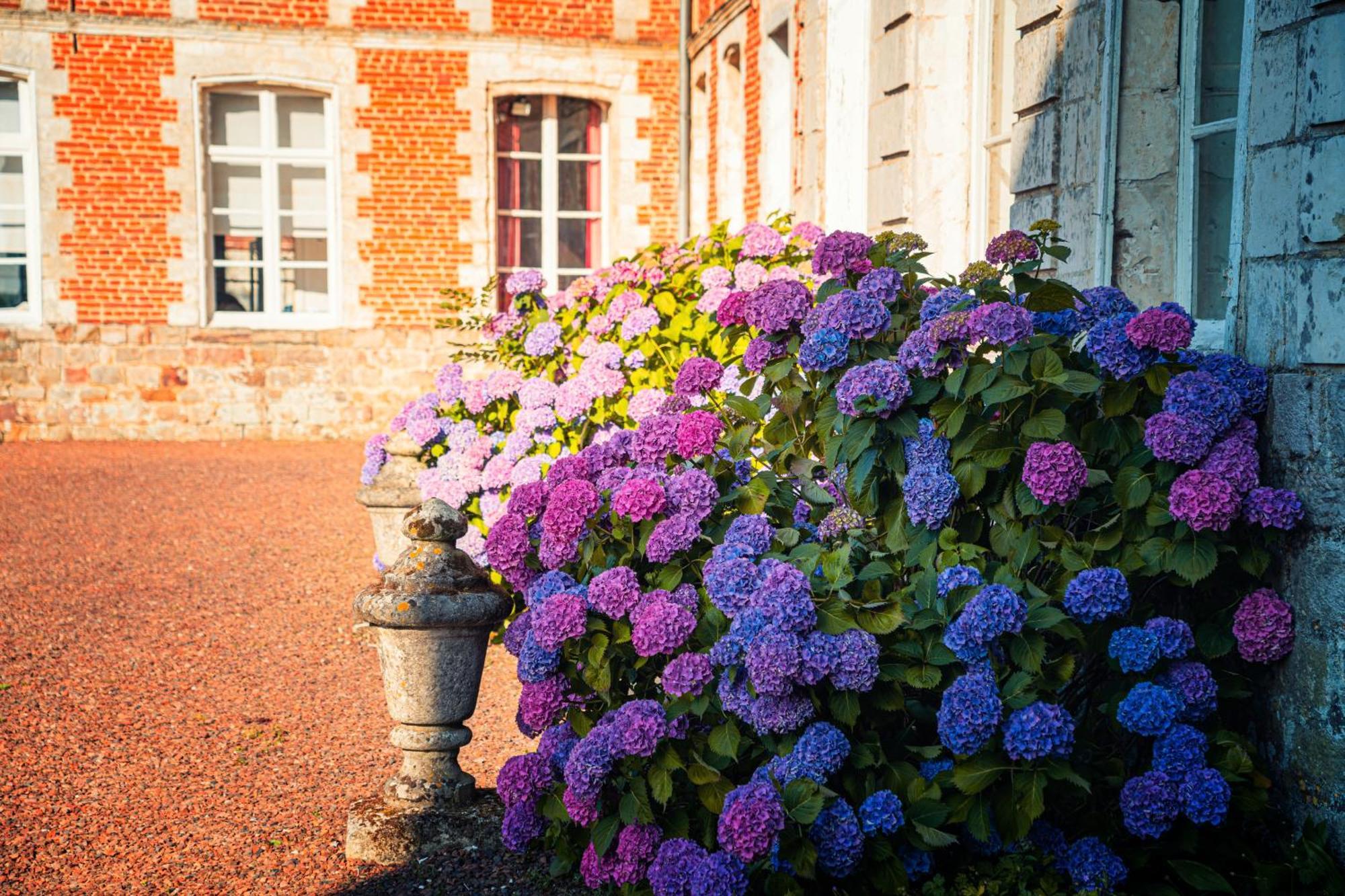Chambres D'Hotes & Gites Du Chateau De Grand Rullecourt Exterior photo
