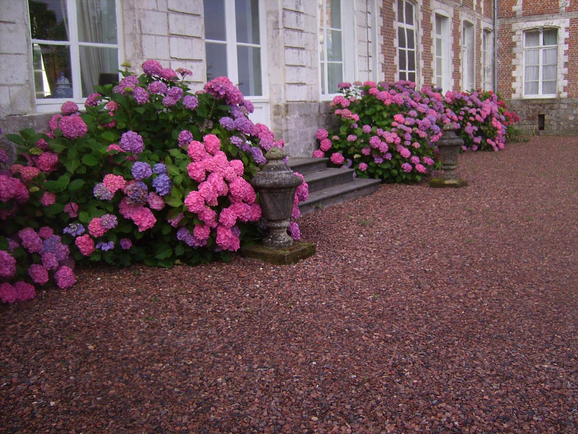 Chambres D'Hotes & Gites Du Chateau De Grand Rullecourt Exterior photo